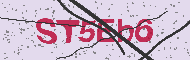 Captcha認証コード